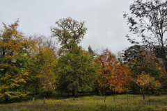 PHOTO-2021-10-30-14-04-38