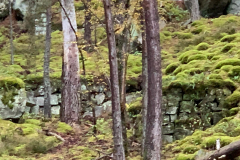 PHOTO-2021-10-30-16-52-41