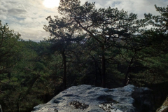 PHOTO-2021-12-01-13-36-49