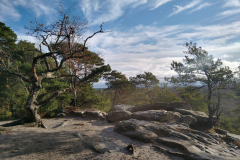 PHOTO-2021-12-04-12-42-04