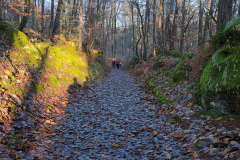 PHOTO-2021-12-11-13-50-04