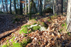 PHOTO-2021-12-11-13-50-12