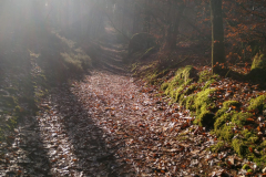 PHOTO-2021-12-11-13-50-39