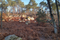 PHOTO-2021-12-18-13-42-55