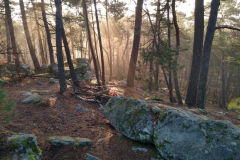 PHOTO-2021-12-18-13-43-45