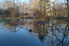 PHOTO-2021-12-18-13-45-00