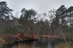 PHOTO-2021-12-22-16-38-32