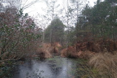 PHOTO-2021-12-22-16-42-55