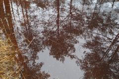 PHOTO-2021-12-29-14-48-38