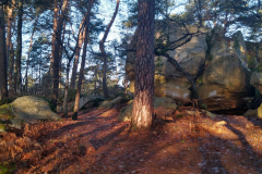 PHOTO-2022-01-05-11-57-45