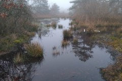 PHOTO-2022-01-12-13-42-13