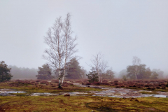 PHOTO-2022-01-12-13-44-35