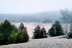 PHOTO-2022-01-12-13-46-57
