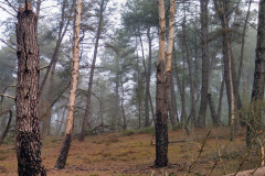 PHOTO-2022-01-12-14-47-47