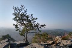 PHOTO-2022-01-15-17-12-06