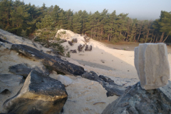 PHOTO-2022-01-15-17-13-53