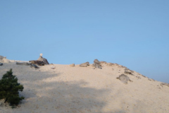 PHOTO-2022-01-15-17-15-16