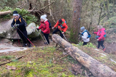 PHOTO-2022-01-19-12-14-04