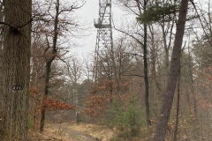 PHOTO-2022-01-26-13-07-31