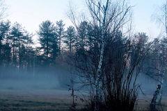 PHOTO-2022-02-02-11-52-53