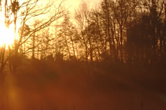 PHOTO-2022-02-02-11-53-13