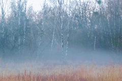 PHOTO-2022-02-02-11-53-48