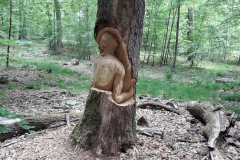 PHOTO-2022-02-05-13-50-15