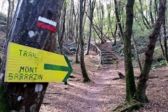 Bas-escaliers-11-23km