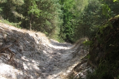 Descente-Puiselet-23km-2