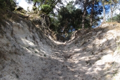 Descente-Puiselet-23km