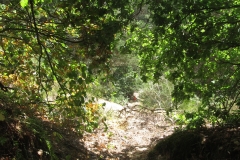 Descente-parcours-de-santé