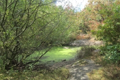 Mare-parcours-de-santé