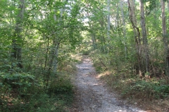 Monté-rochers-escalade-23km
