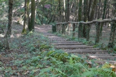 haut-escaliers-11-23km