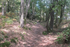 monté-Parcours-de-santé-2